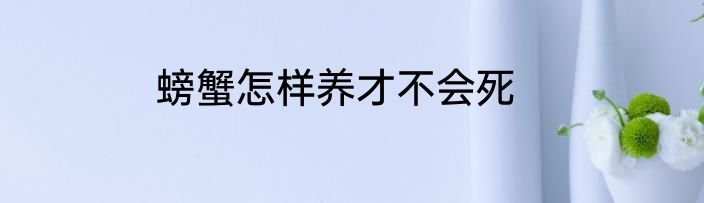 螃蟹怎样养才不会死