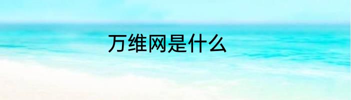 万维网是什么