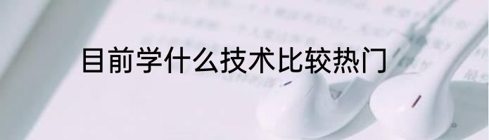 目前学什么技术比较热门
