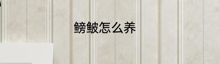 鳑鲏怎么养