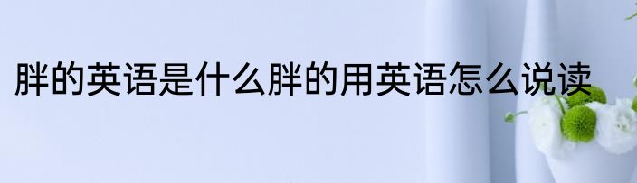 胖的英语是什么胖的用英语怎么说读