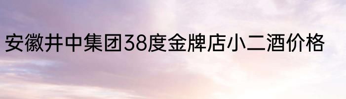 安徽井中集团38度金牌店小二酒价格