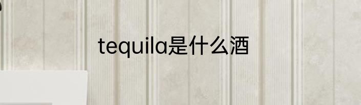 tequila是什么酒