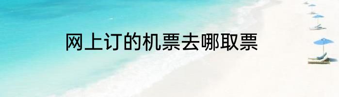 网上订的机票去哪取票