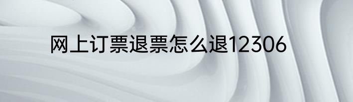 网上订票退票怎么退12306