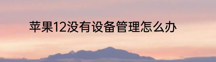 苹果12没有设备管理怎么办