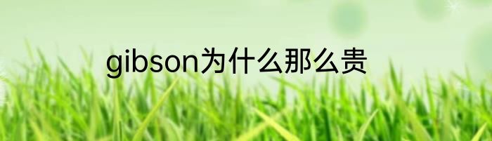 gibson为什么那么贵