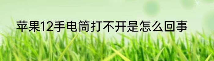 苹果12手电筒打不开是怎么回事