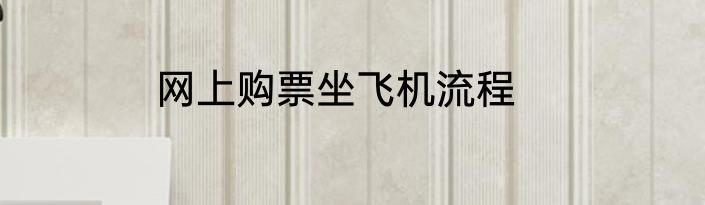 网上购票坐飞机流程