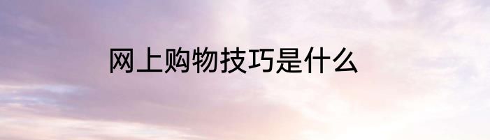网上购物技巧是什么