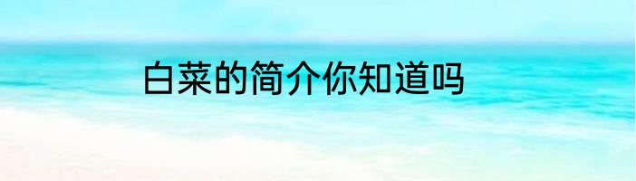 白菜的简介你知道吗