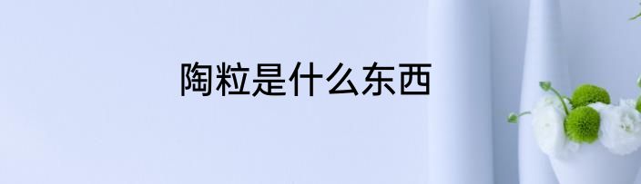 陶粒是什么东西