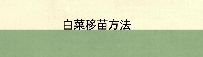 白菜移苗方法