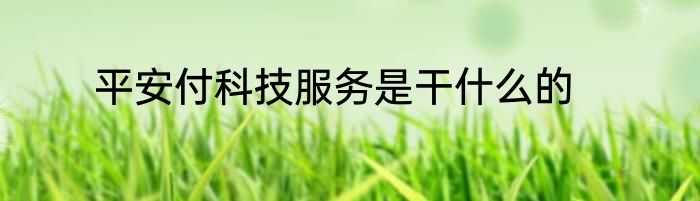 平安付科技服务是干什么的