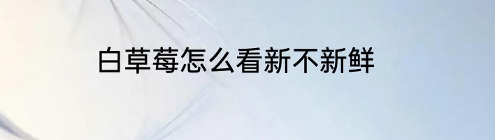 白草莓怎么看新不新鲜