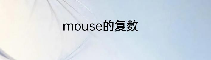 mouse的复数