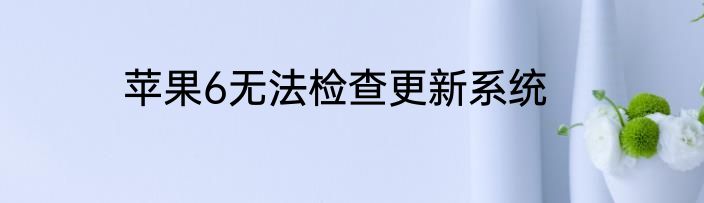 苹果6无法检查更新系统