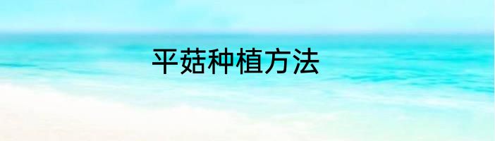 平菇种植方法