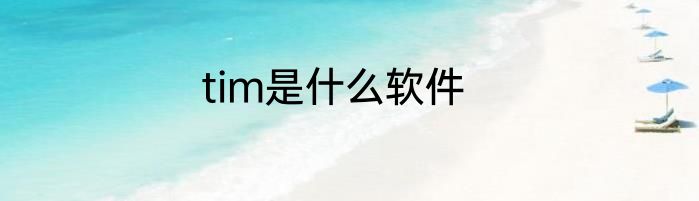 tim是什么软件