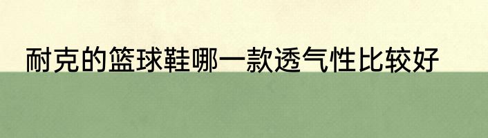 耐克的篮球鞋哪一款透气性比较好