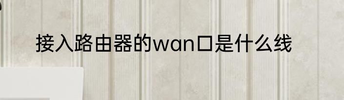 接入路由器的wan口是什么线