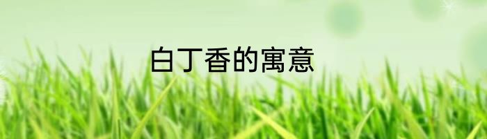 白丁香的寓意