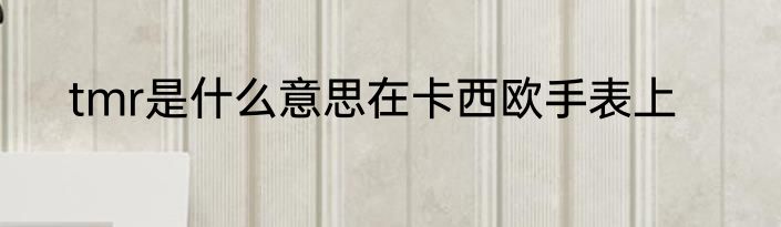 tmr是什么意思在卡西欧手表上