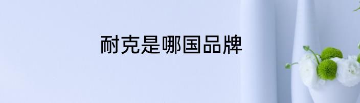 耐克是哪国品牌