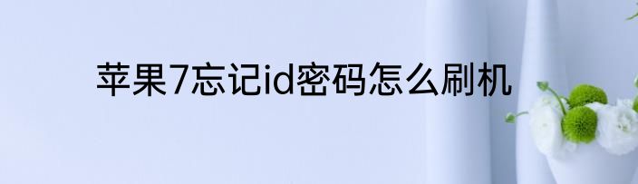 苹果7忘记id密码怎么刷机