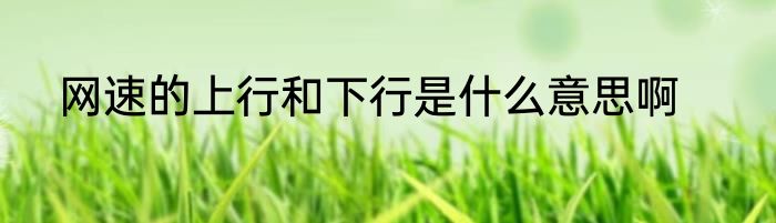 网速的上行和下行是什么意思啊
