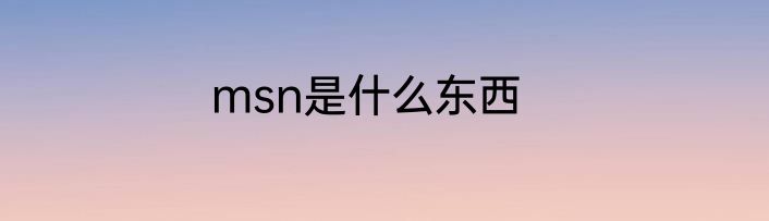 msn是什么东西