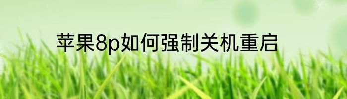 苹果8p如何强制关机重启