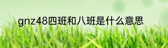 gnz48四班和八班是什么意思