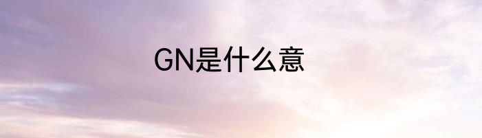 GN是什么意