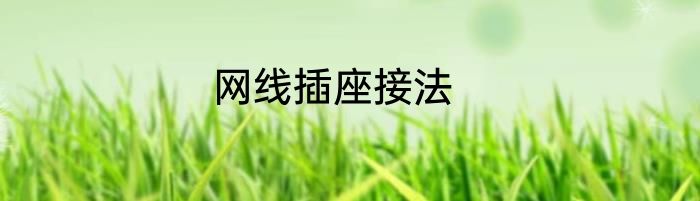 网线插座接法