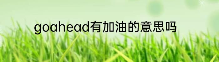 goahead有加油的意思吗