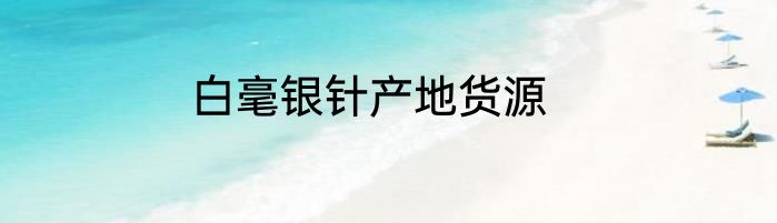 白毫银针产地货源