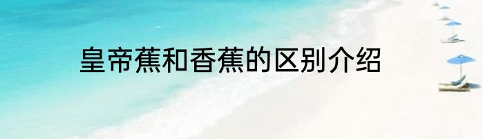 皇帝蕉和香蕉的区别介绍