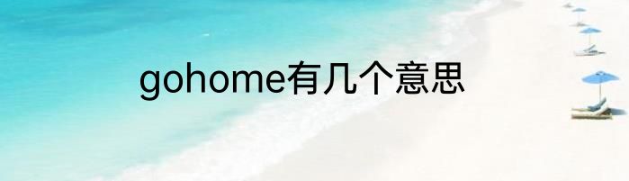 gohome有几个意思