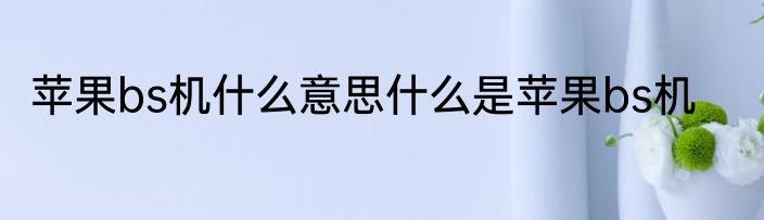 苹果bs机什么意思什么是苹果bs机