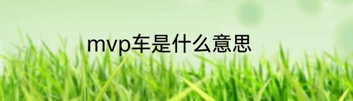 mvp车是什么意思