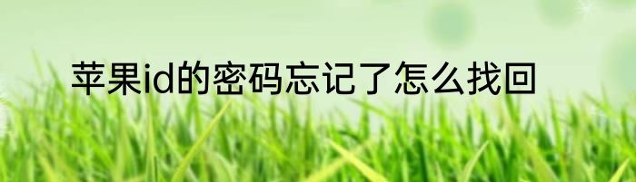 苹果id的密码忘记了怎么找回