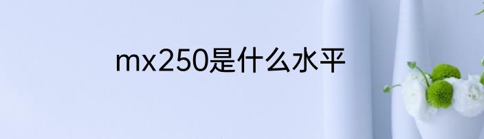 mx250是什么水平