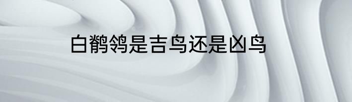 白鹡鸰是吉鸟还是凶鸟