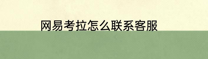 网易考拉怎么联系客服