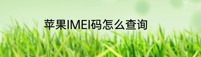 苹果IMEI码怎么查询