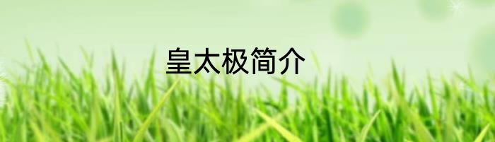 皇太极简介