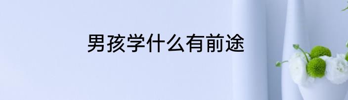 男孩学什么有前途