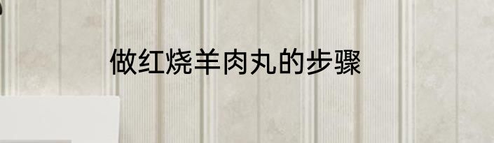 做红烧羊肉丸的步骤