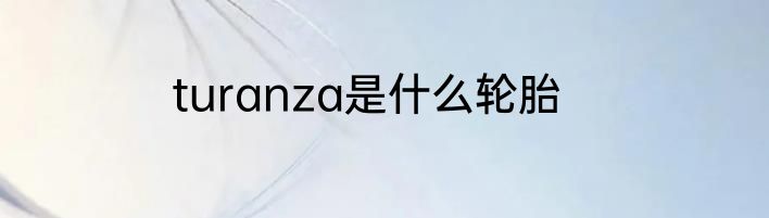 turanza是什么轮胎